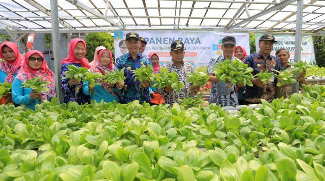 Panen Raya, Pemkot Tangerang Masifkan KWT dan Urban Farming