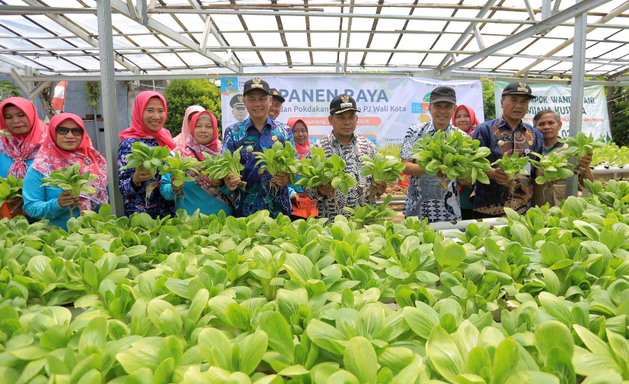 Panen Raya, Pemkot Tangerang Masifkan KWT dan Urban Farming