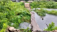 Jembatan Kampung Rawa Bolang