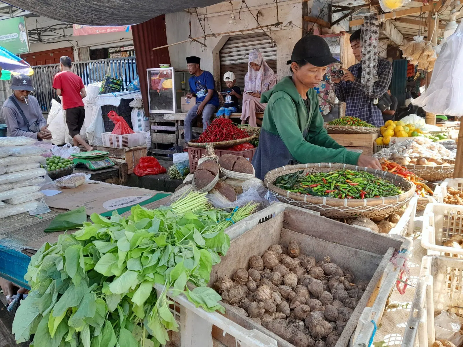 Harga Bawang