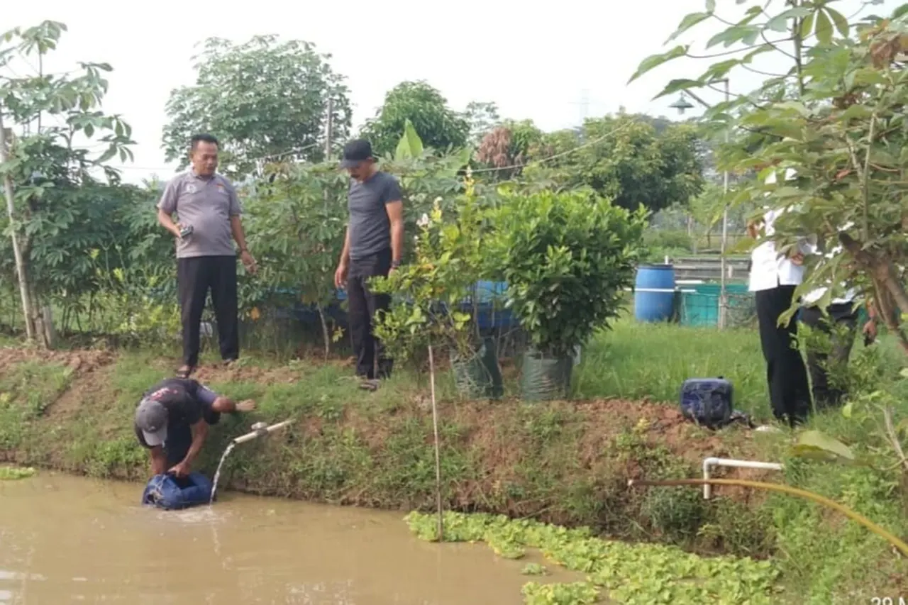 Budidaya Ikan