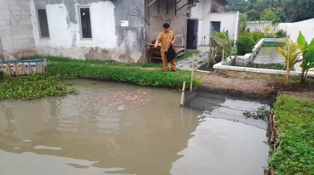 Membangun Kolam