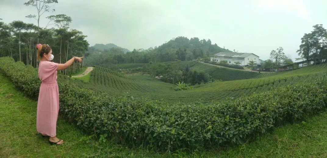 Kebun