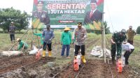 Kapolres Realisasi Asta Cita Presiden Prabowo, Penanaman Satu Hektare Jagung Serentak di Tangerang