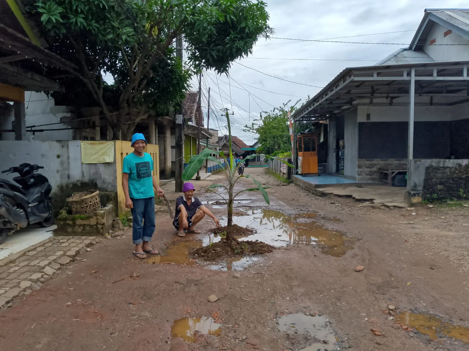 Warga Tanami Pohon